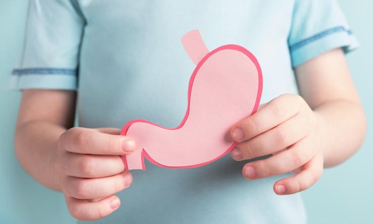 Photo of child holding a simple stomach model