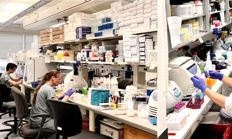 Mondal Lab in action