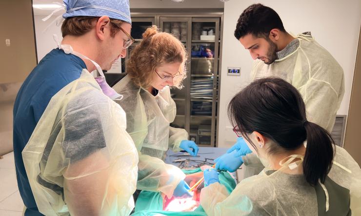 National School of Tropical Medicine offer a six-day skills conference