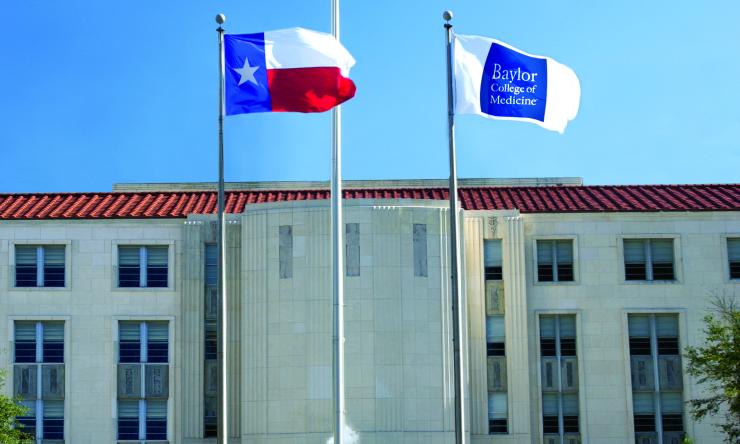 3 flag poles in front of building and fountain
