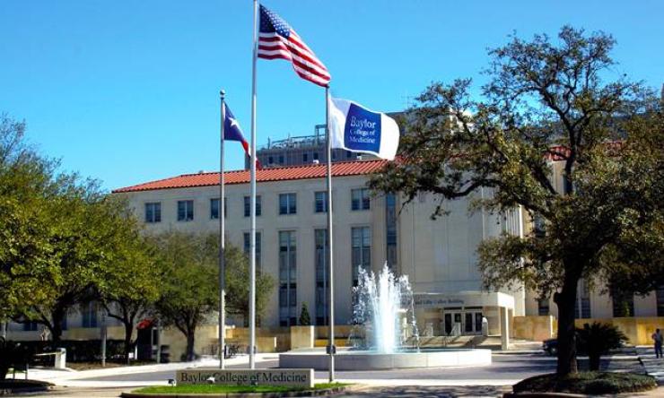 Front of the Baylor college of medicine building with a fountain in front of it
