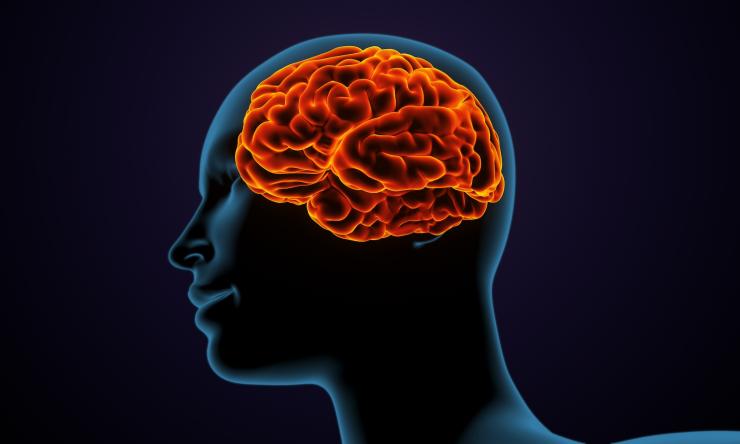 WOMENS PSYCH HEALTH OBGYN