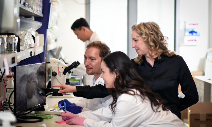 Lab members viewing a microscope image