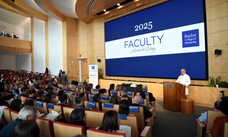 Photo of the faculty awards audience and speaker