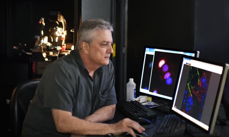 Dr. Micahel Mancini working in his lab