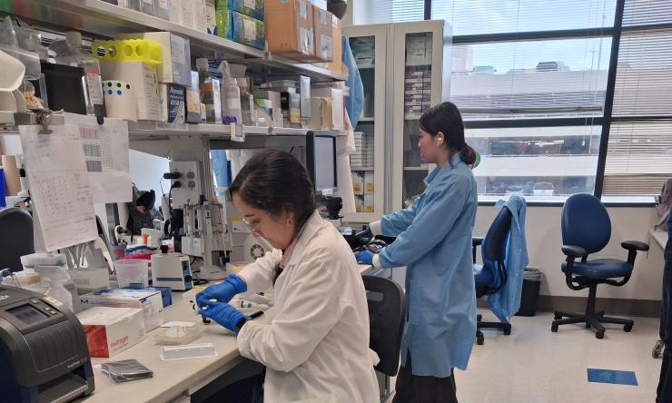 people working in a lab