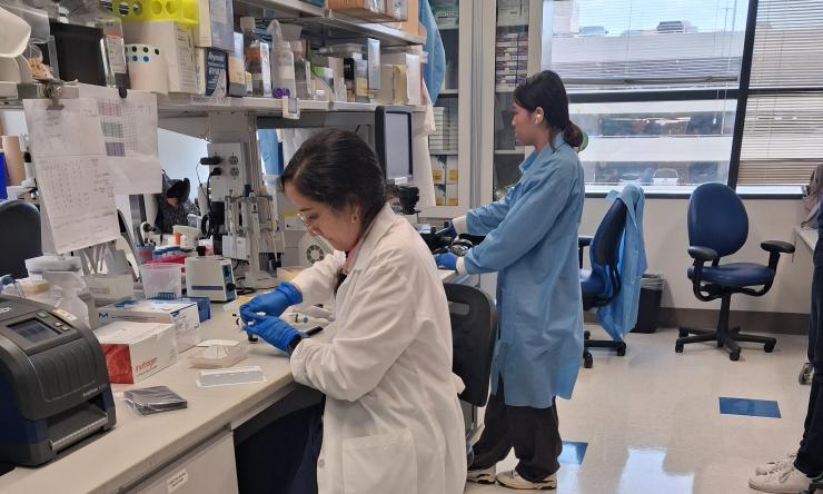 people working in a lab