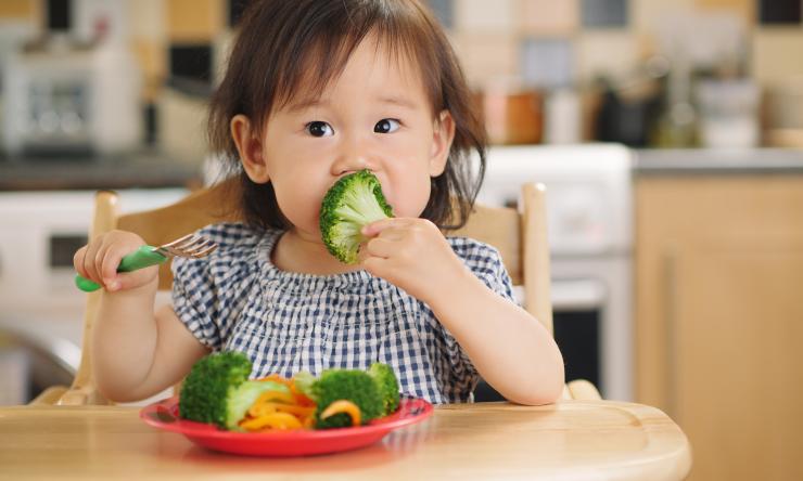 baby girl in a high chair eating broccoli with her hand
