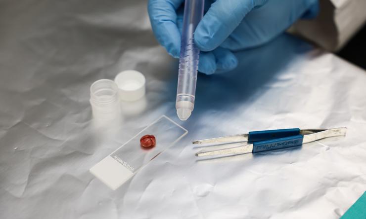 Laboratory for Medical Mass Spectrometry & Tissue Analytics