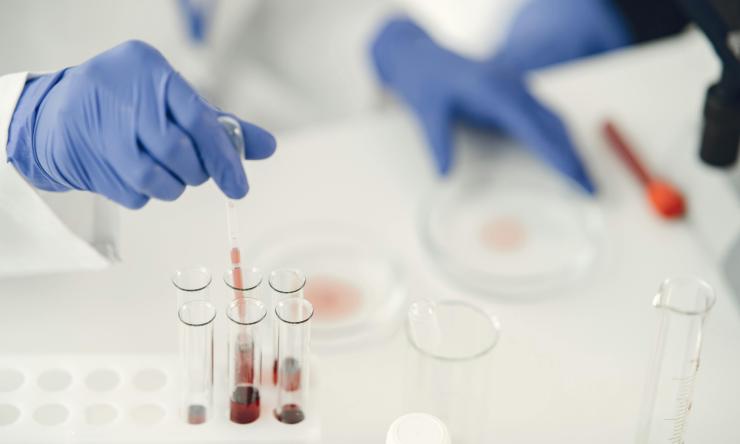 A photo of a scientist's hands, wearing blue gloves, in a lab holding colorful lique test tubes.