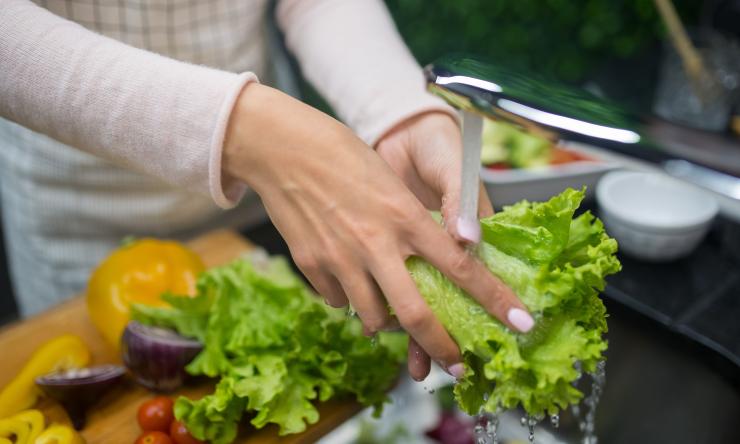 A female's hands washing lettuce in a sink