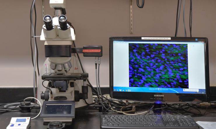 The Leica DM5500B Upright Widefield Microscope 