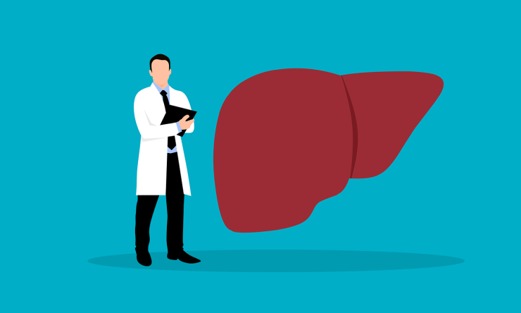Liver