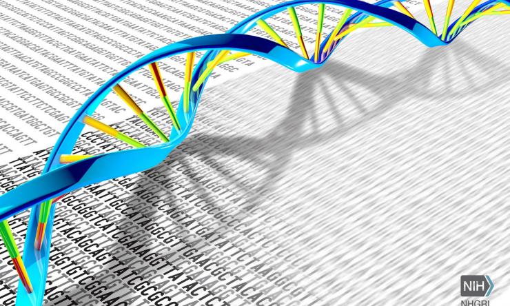 As microbiome research matures, it is leading to a major reassessment of biological processes within the human body.