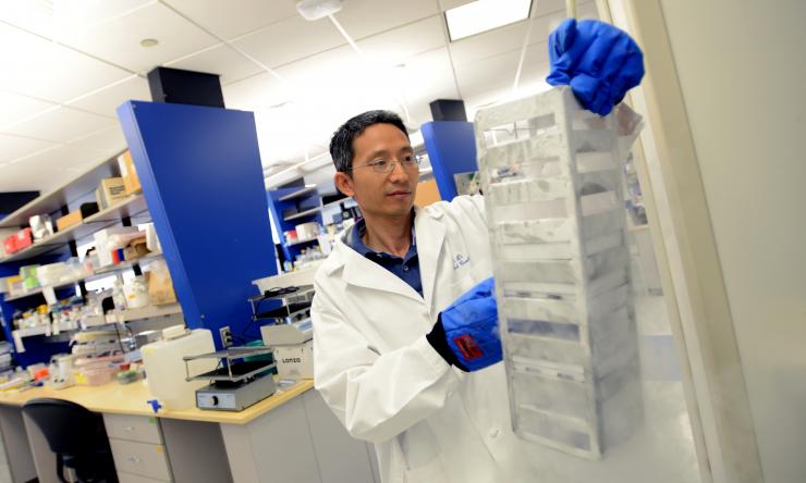 Breast Cancer Researh