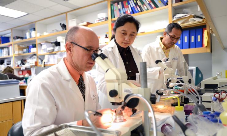 Dr. Martin M. Matzuk (left), director of the Center for Drug Discovery and vice chair of pathology & immunology