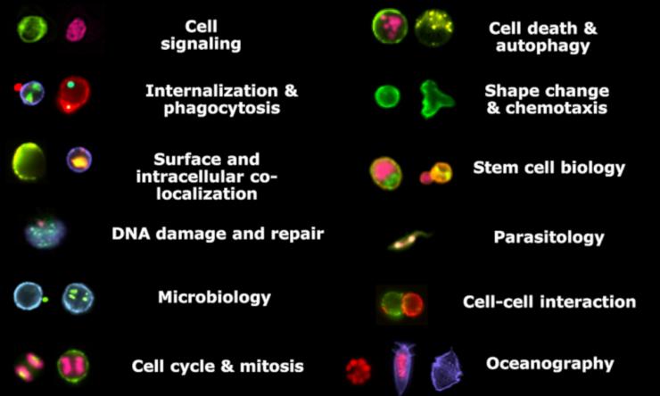 Applications using the ImageStream