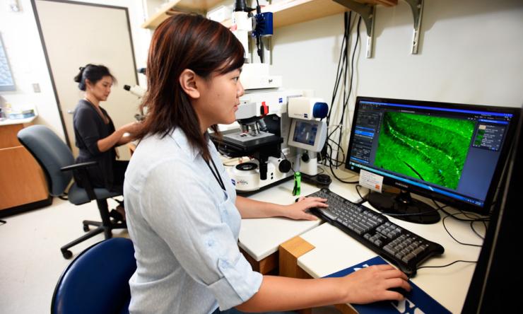 Visualizing where and how cellular alterations occur in human patients and mouse models is critical to understanding cognitive deficits in neurological disease.