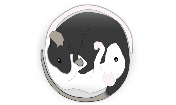 A small neuronal circuit in the basal forebrain connects with and overrides feeding behaviors regulated by the hypothalamus.