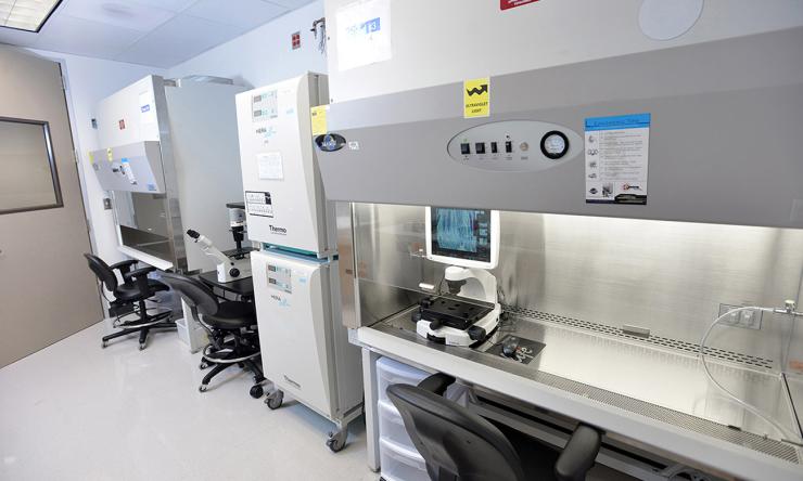 Human Stem Cell Core Lab