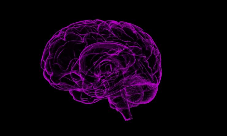 What Eegs Tell Us About Covid 19 And The Brain m