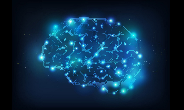 Dr. Yong Xu and his colleagues investigate the roles the brain plays in body weight control. Recent research from the Xu lab makes the case that SRC-1 is an important regulator of body weight.
