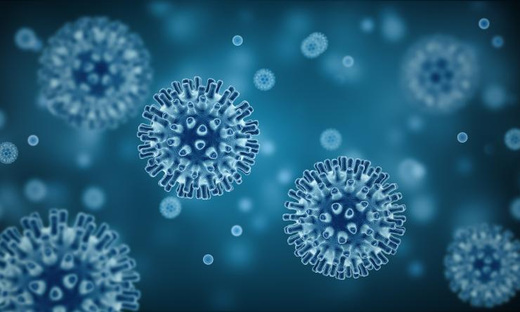 Cell to Cell Communication