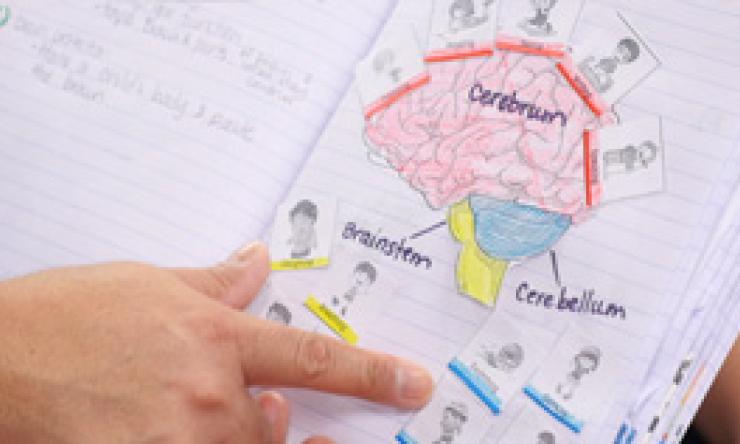 K-2 neuroscience student work