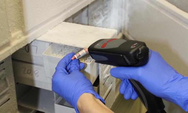 Scanning cryotubes of tissue samples.