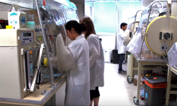 Cultivation core's anaerobic chambers