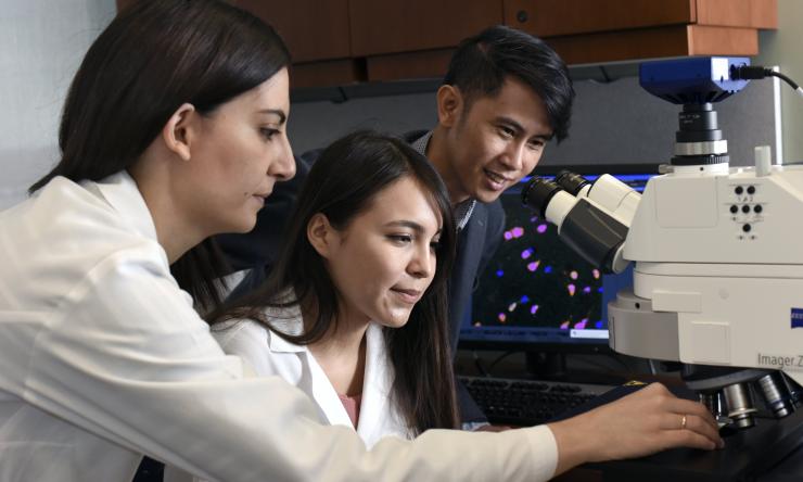 SMART student Dina Torres in the Samaco Lab.