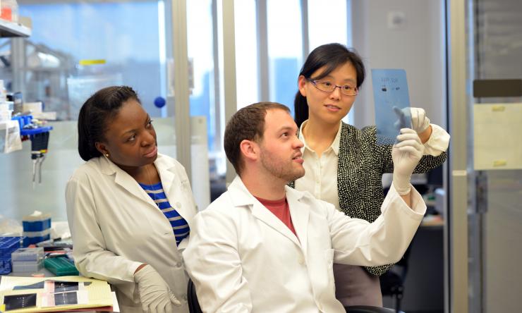 Graduate School - Diversity