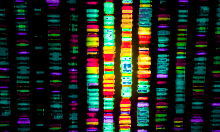 Analytical Tool Predicts Disease Causing Genes