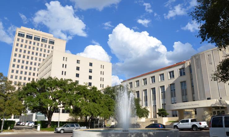 Cullen building with the Michael E. DeBakey Center and the Alkek Building in the background. November 2, 2012.