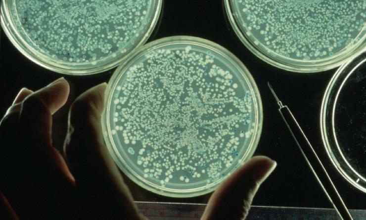 Human Microbiome Research