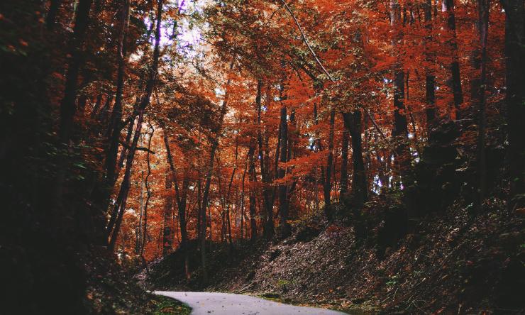 The cooler temperatures may be sending you outdoors, but it could also be the cause of your seasonal allergies.