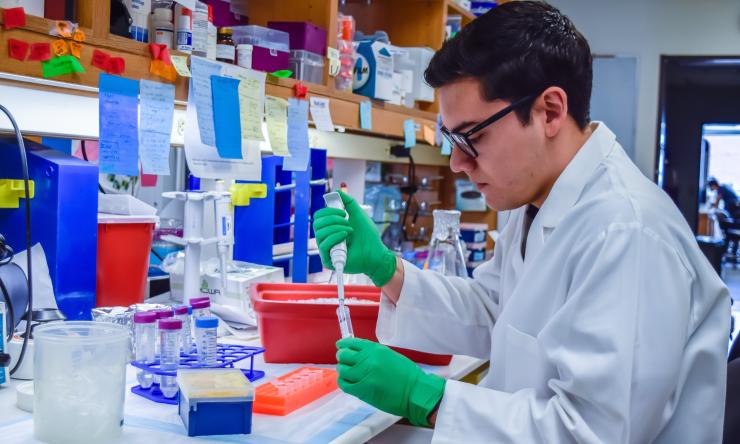 Francisco Blanco is using state of the art molecular genetic techniques to study learning and memory.