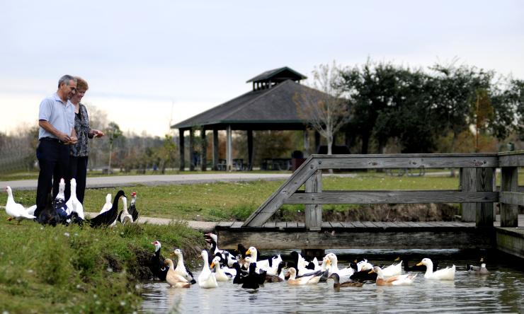 We provide personalized healthcare plans for seniors that address current as well as long-term needs.