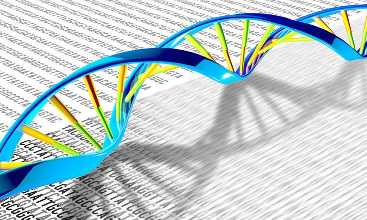 A DNA double helix rests on a print-out illustration of the DNA letters A, T, C and G.