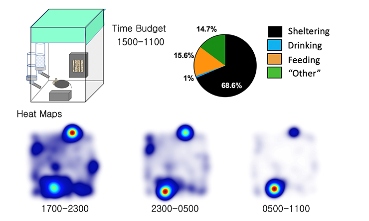Heat maps