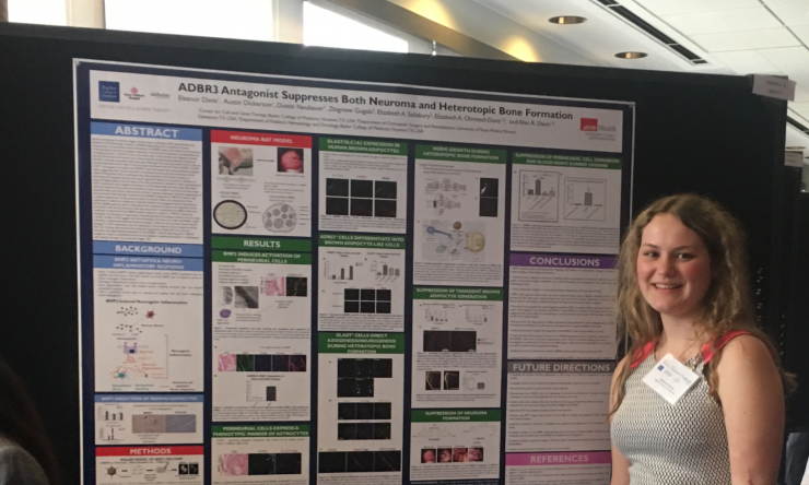 Our lab is currently investigating how the suppression of this neuroinflammatory process affects the bone formation typically achieved in our model of BMP2-induced HO.