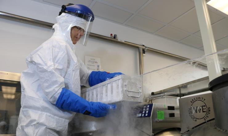 "Off-the-shelf" cells are safe and effective to treat viral infections