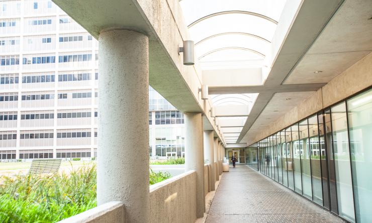 Main campus entry walkway