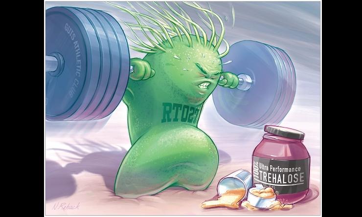 Graphic from "Did a Sugar Called Trehalose Contribute to the Clostridium difficile Epidemic?" JAMA. 2018;319(14):1425–1426.