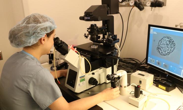 REI Fellow working in the IVF lab...pretty blastocyst!
