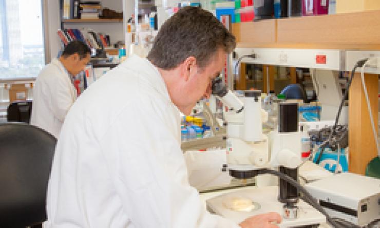 Dr. Corry looking at microscope