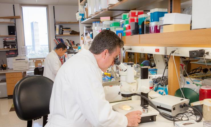 Dr. Corry looking at microscope