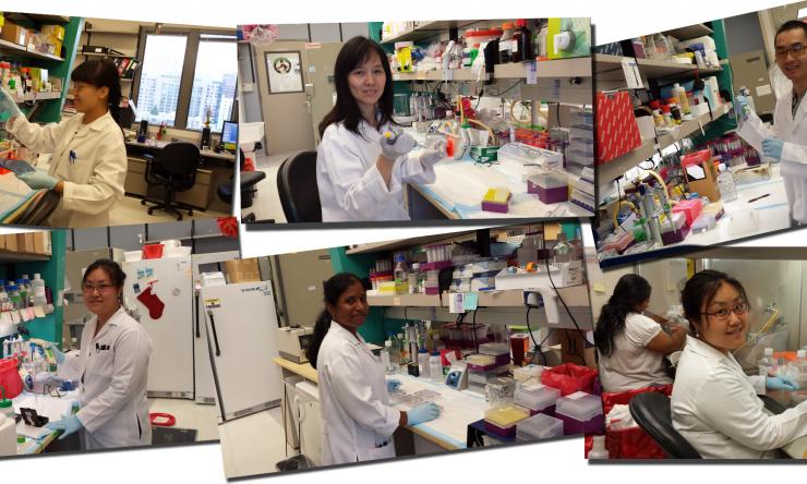 Wang lab members v2