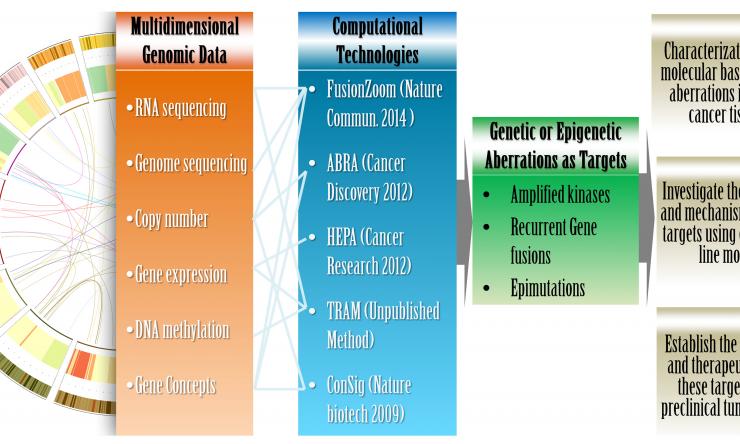 Our multidisciplinary approach