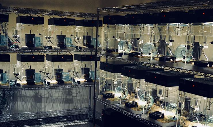 Behavioral Monitoring Unit